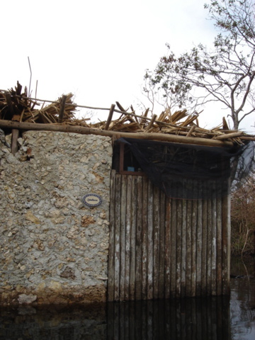 dsc00606.jpg